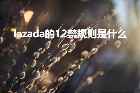 跨境电商知识:lazada的12禁规则是什么+